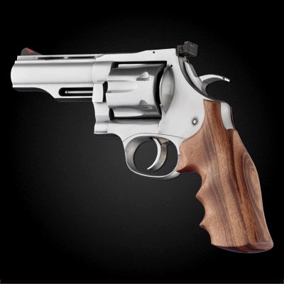 Dan Wesson