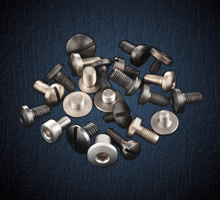 Grip Screws