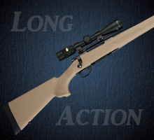 Long Action Stocks