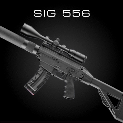 SIG 556