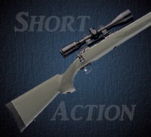 Short Action