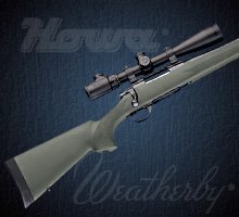 Howa & Weatherby