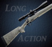 Long Action Stocks