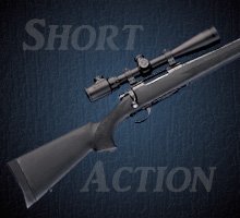 Short Action