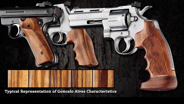 Goncalo Alves