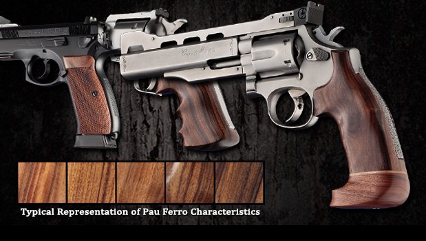 Pau Ferro