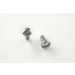 CZ-75,TZ-75 Screws (2) Slotted - Stainless Finish
