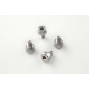 (4) Hex Head Screws - Stainless