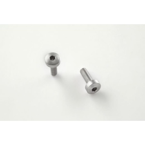 (2) Hex Head Screws - Stainless
