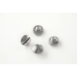 (4) Slotted Head Screws - Stainless