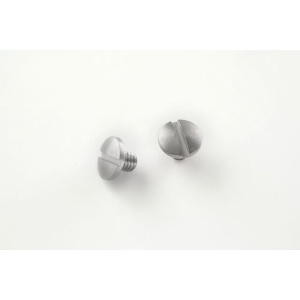 (2) Slotted Screws - Stainless