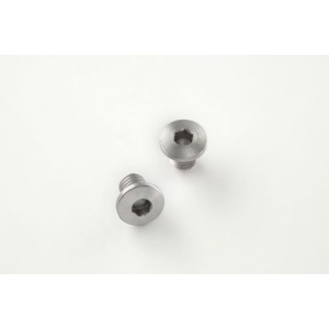 (2) Hex Head Screws - Stainless