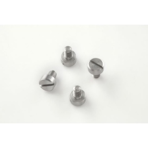 (4) Slotted Head Screws - Stainless