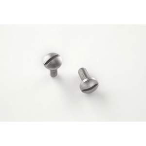(2) Slotted Head Screw - Stainless 