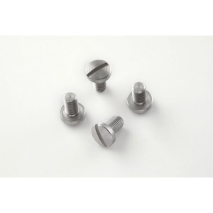 (4) Slotted Head Screws - Stainless