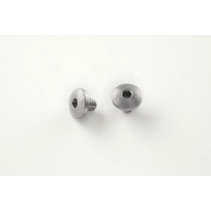 (2) Hex Head Screws - Stainless